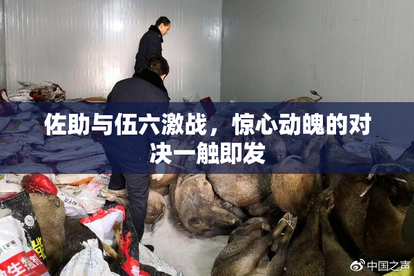 佐助与伍六激战，惊心动魄的对决一触即发