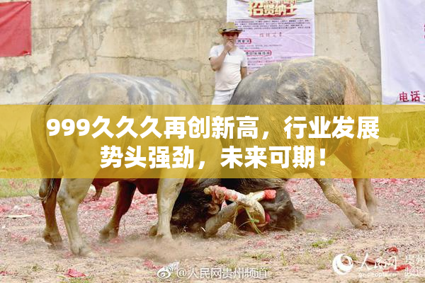999久久久再创新高，行业发展势头强劲，未来可期！