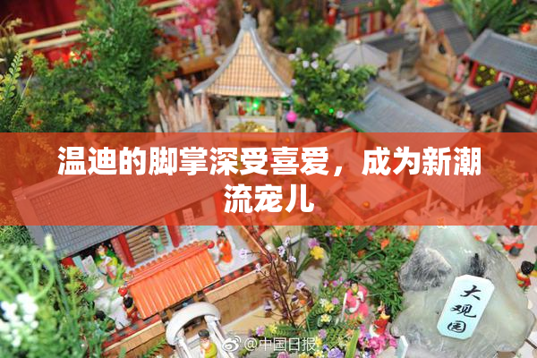 温迪的脚掌深受喜爱，成为新潮流宠儿