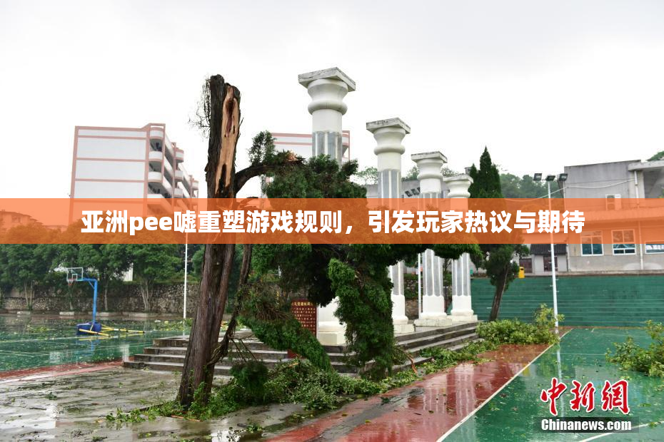 亚洲pee嘘重塑游戏规则，引发玩家热议与期待