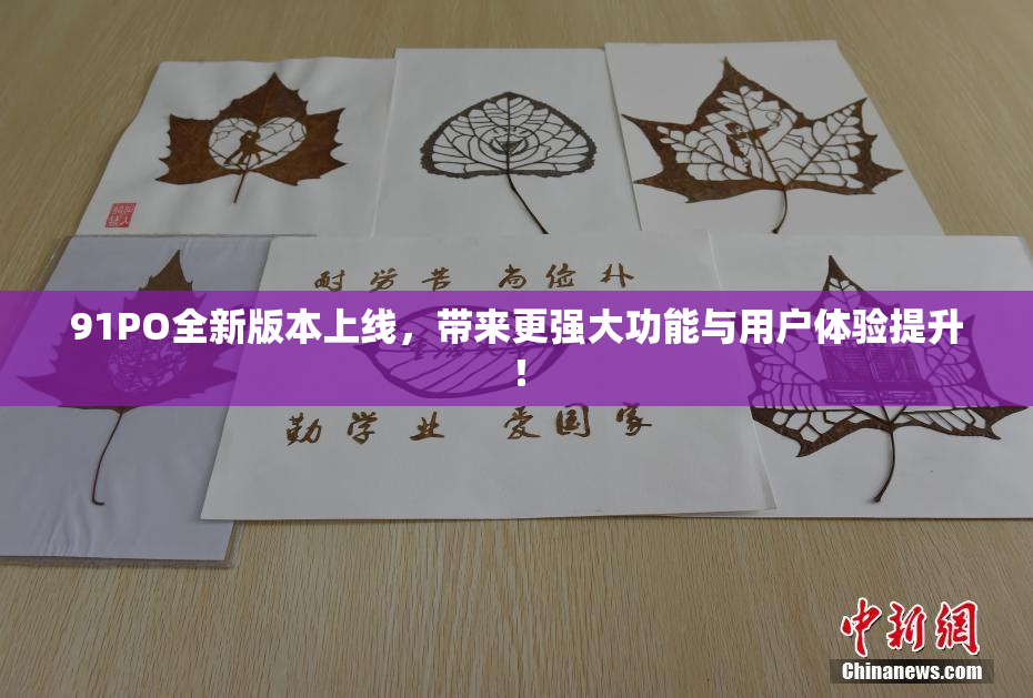 91PO全新版本上线，带来更强大功能与用户体验提升！