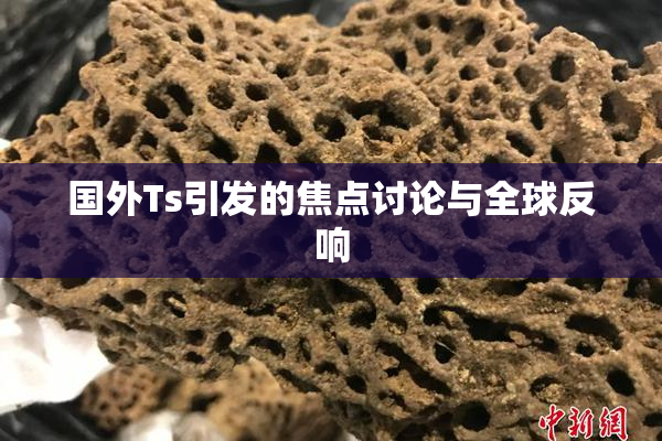 国外Ts引发的焦点讨论与全球反响