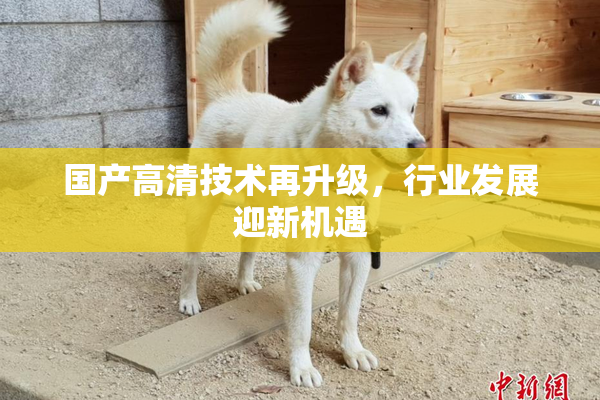 国产高清技术再升级，行业发展迎新机遇