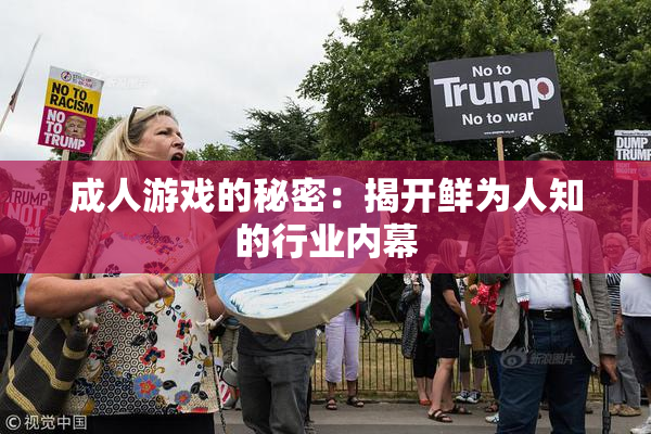 成人游戏的秘密：揭开鲜为人知的行业内幕