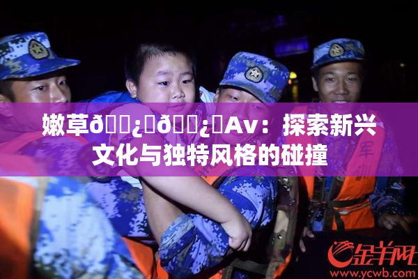 嫩草🌿‌🌿‌Av：探索新兴文化与独特风格的碰撞