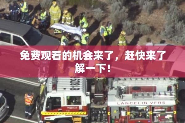 免费观看的机会来了，赶快来了解一下！