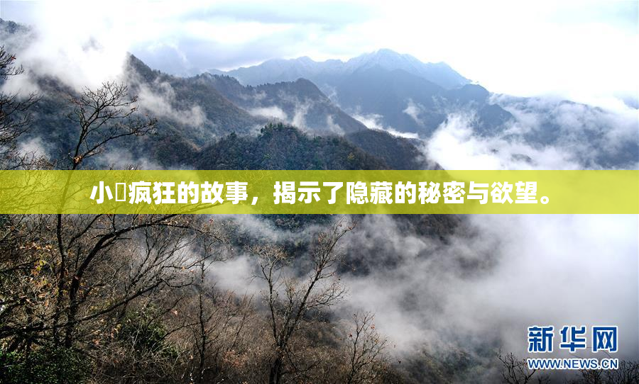 小泬疯狂的故事，揭示了隐藏的秘密与欲望。