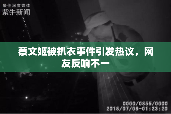 蔡文姬被扒衣事件引发热议，网友反响不一