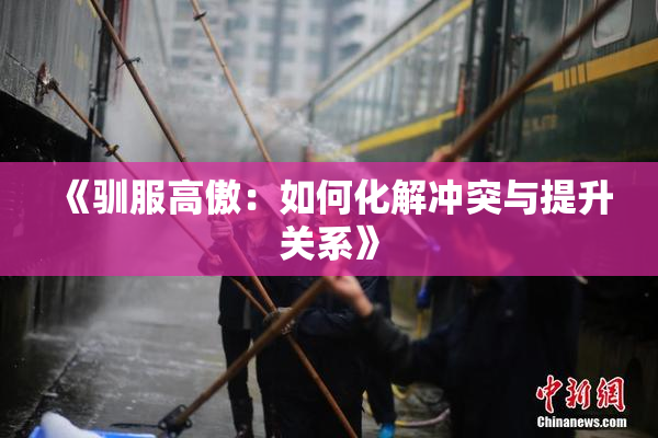 《驯服高傲：如何化解冲突与提升关系》