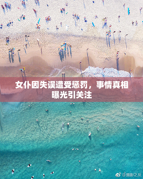 女仆因失误遭受惩罚，事情真相曝光引关注