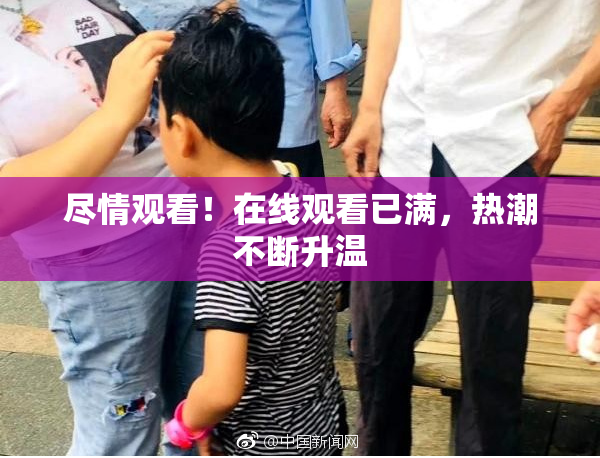 尽情观看！在线观看已满，热潮不断升温