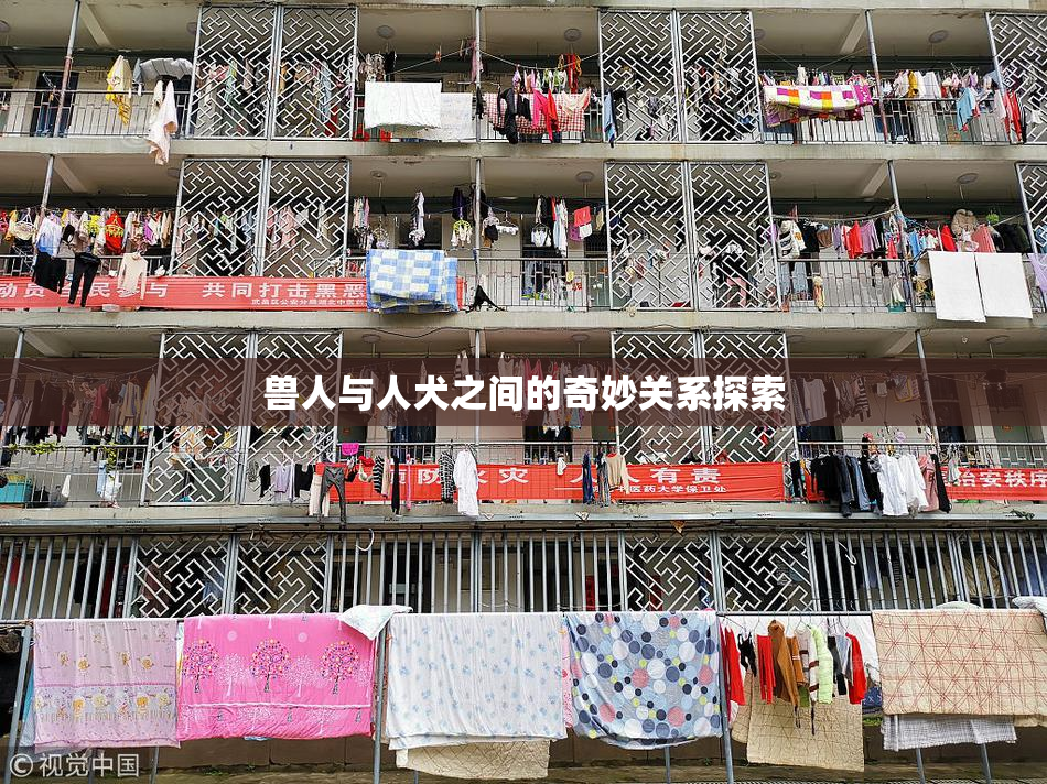 兽人与人犬之间的奇妙关系探索