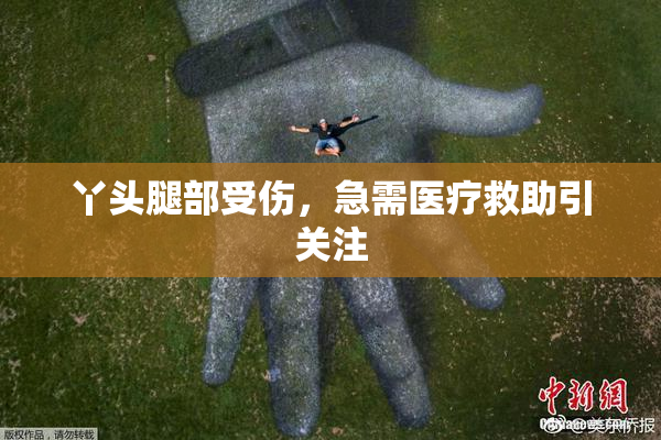 丫头腿部受伤，急需医疗救助引关注
