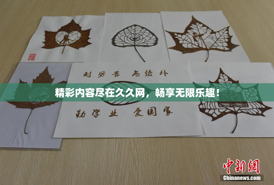 精彩内容尽在久久网，畅享无限乐趣！