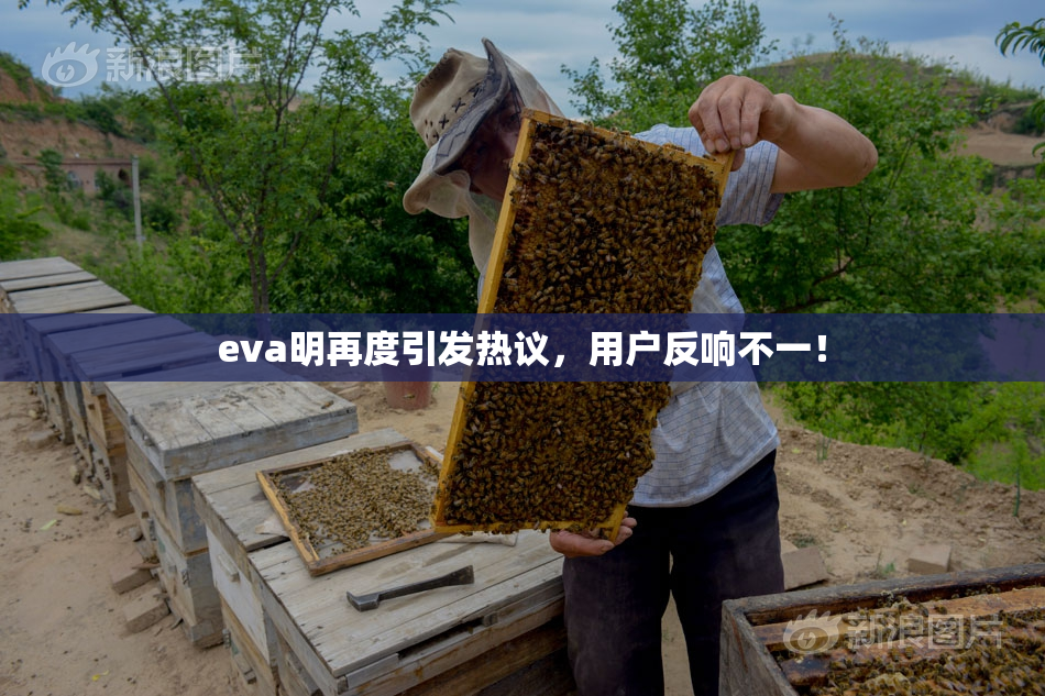 eva明再度引发热议，用户反响不一！