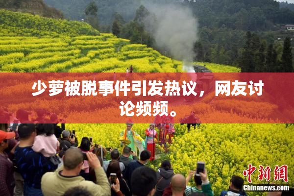 少萝被脱事件引发热议，网友讨论频频。