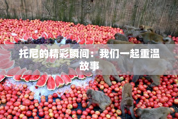 托尼的精彩瞬间：我们一起重温故事