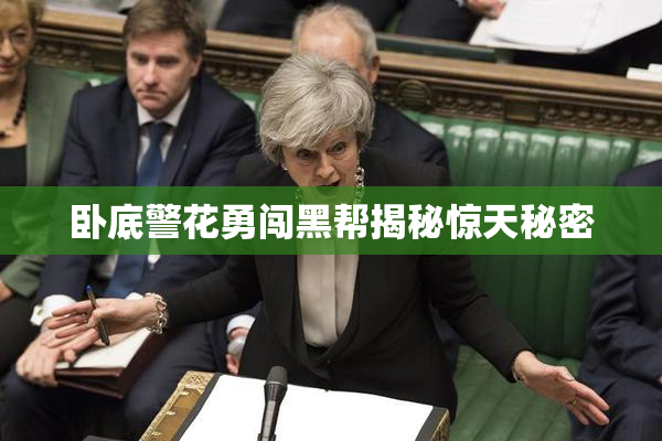 卧底警花勇闯黑帮揭秘惊天秘密