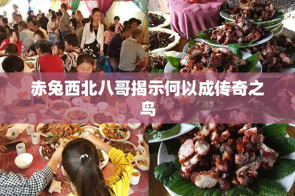 赤兔西北八哥揭示何以成传奇之鸟