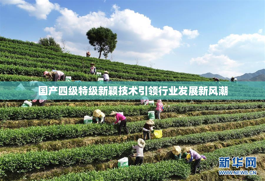 国产四级特级新颖技术引领行业发展新风潮
