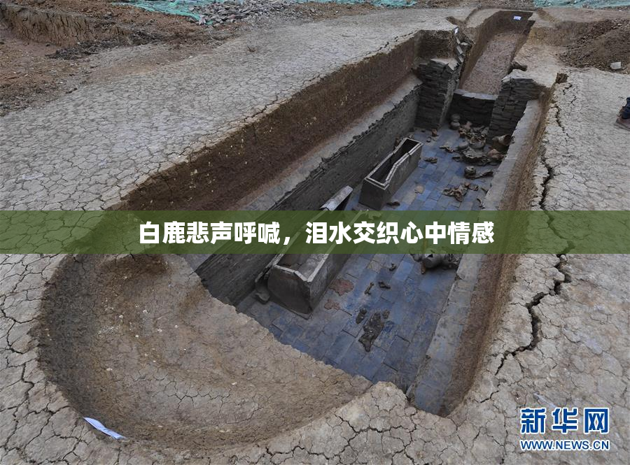 白鹿悲声呼喊，泪水交织心中情感