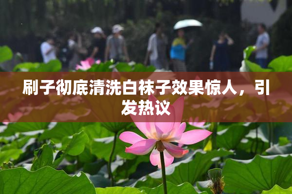 刷子彻底清洗白袜子效果惊人，引发热议