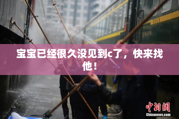 宝宝已经很久没见到c了，快来找他！