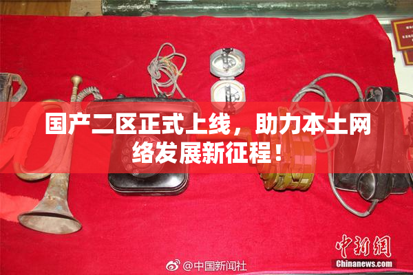 国产二区正式上线，助力本土网络发展新征程！