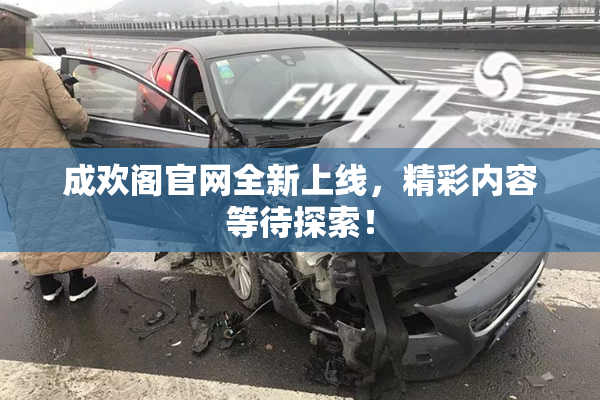成欢阁官网全新上线，精彩内容等待探索！