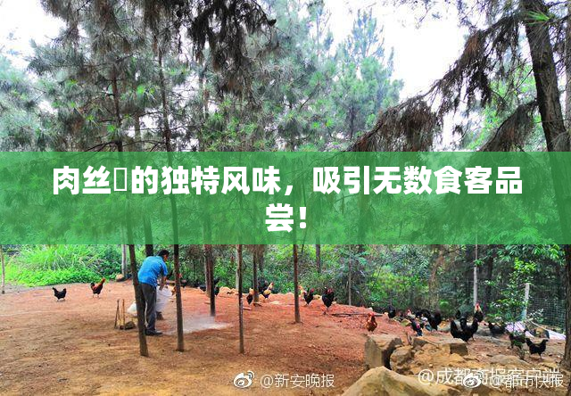 肉丝祙的独特风味，吸引无数食客品尝！
