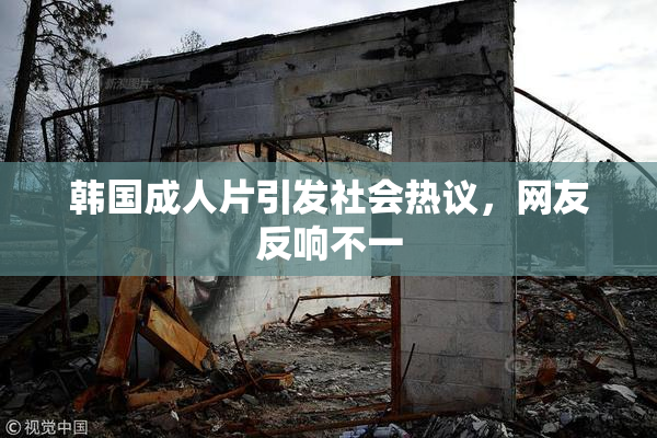 韩国成人片引发社会热议，网友反响不一