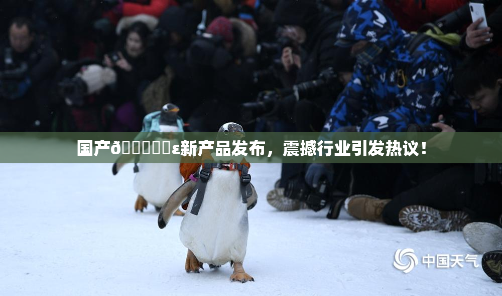 国产🔞❌‌ε新产品发布，震撼行业引发热议！