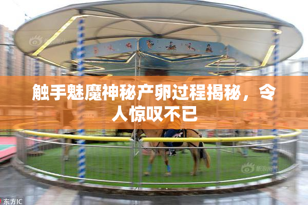 触手魅魔神秘产卵过程揭秘，令人惊叹不已