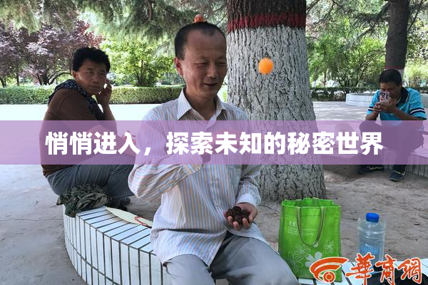 悄悄进入，探索未知的秘密世界