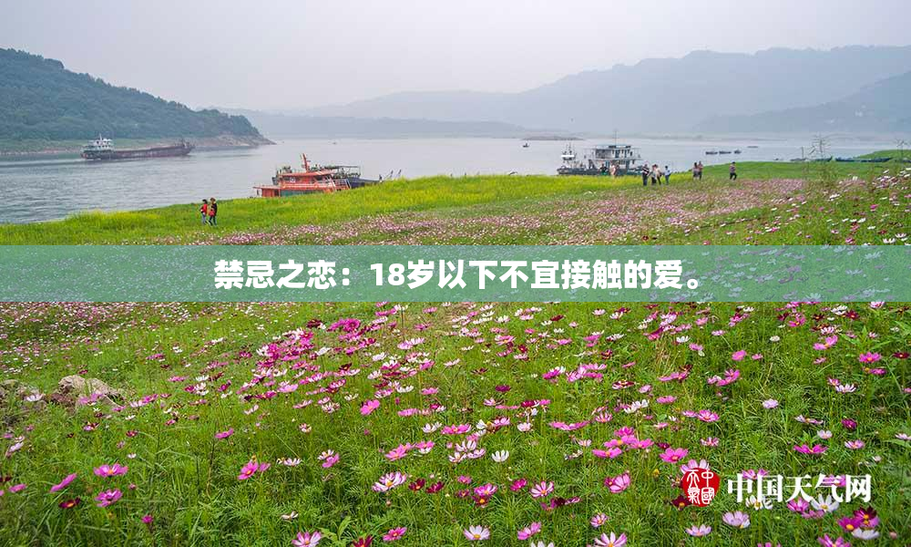 禁忌之恋：18岁以下不宜接触的爱。