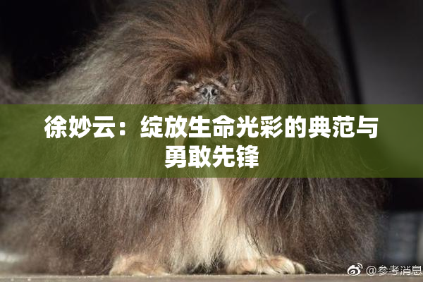 徐妙云：绽放生命光彩的典范与勇敢先锋