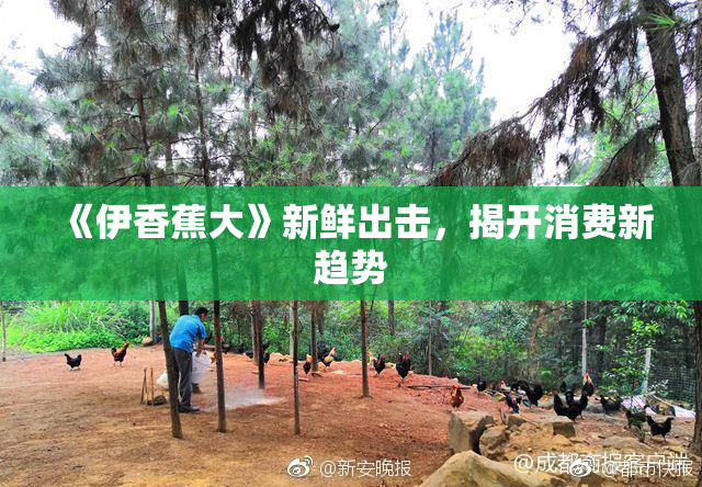 《伊香蕉大》新鲜出击，揭开消费新趋势