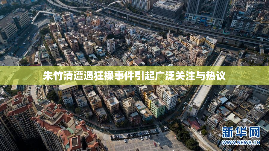 朱竹清遭遇狂揉事件引起广泛关注与热议