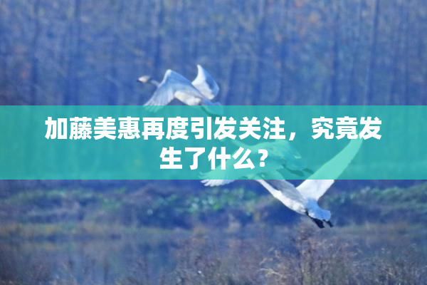 加藤美惠再度引发关注，究竟发生了什么？