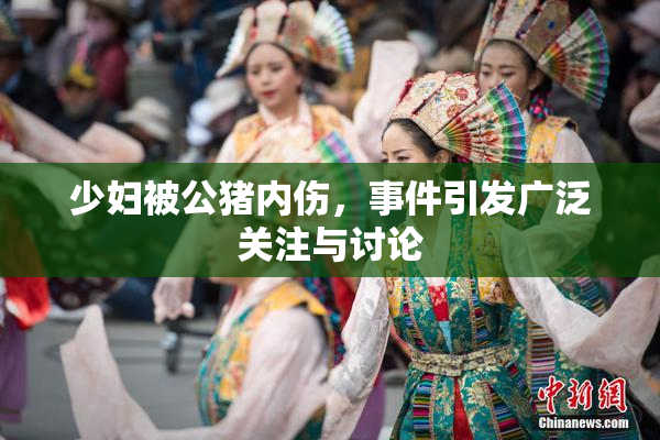 少妇被公猪内伤，事件引发广泛关注与讨论