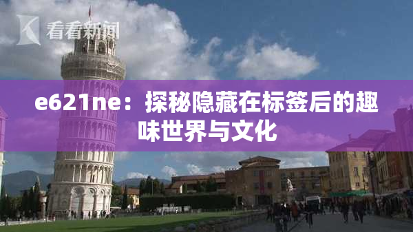 e621ne：探秘隐藏在标签后的趣味世界与文化