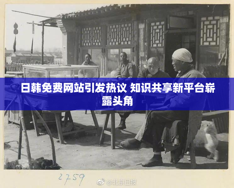 日韩免费网站引发热议 知识共享新平台崭露头角