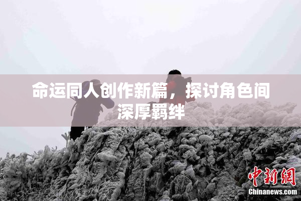 命运同人创作新篇，探讨角色间深厚羁绊