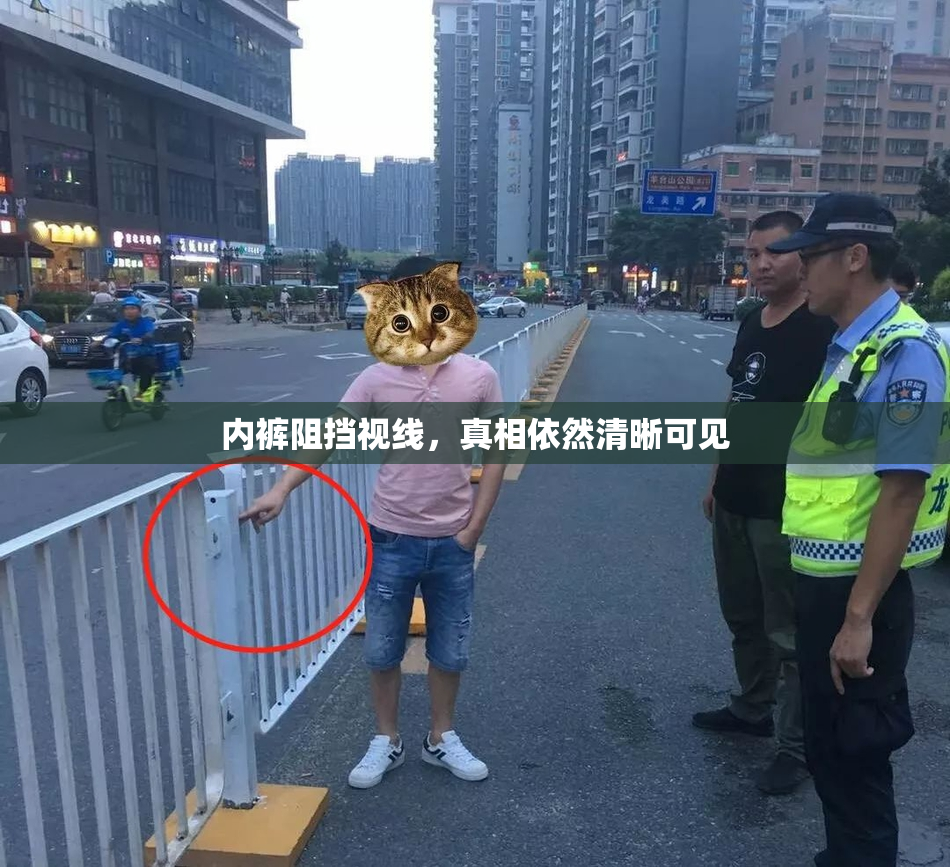 内裤阻挡视线，真相依然清晰可见