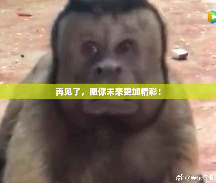 再见了，愿你未来更加精彩！
