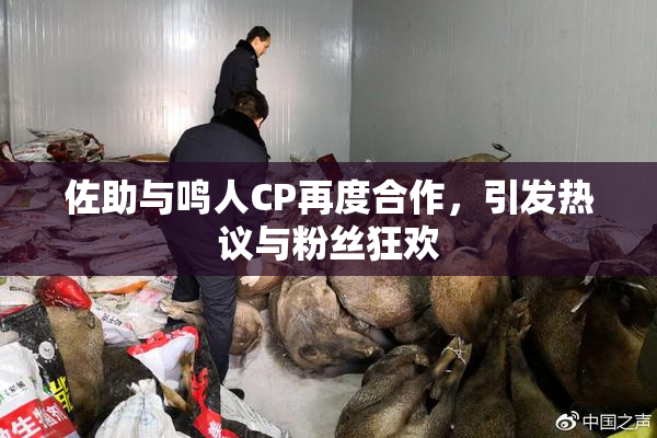佐助与鸣人CP再度合作，引发热议与粉丝狂欢