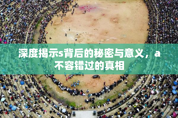 深度揭示s背后的秘密与意义，a不容错过的真相