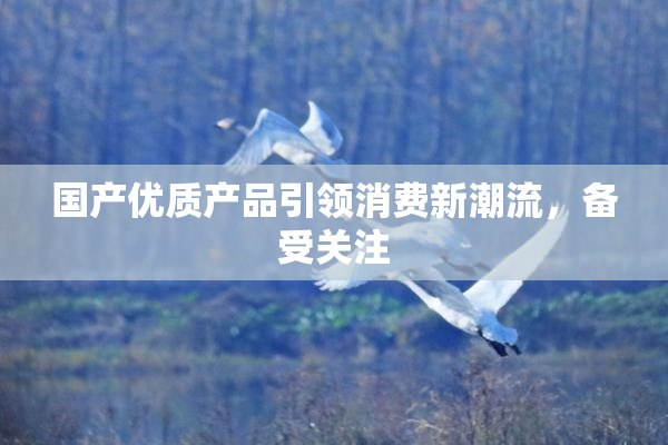 国产优质产品引领消费新潮流，备受关注