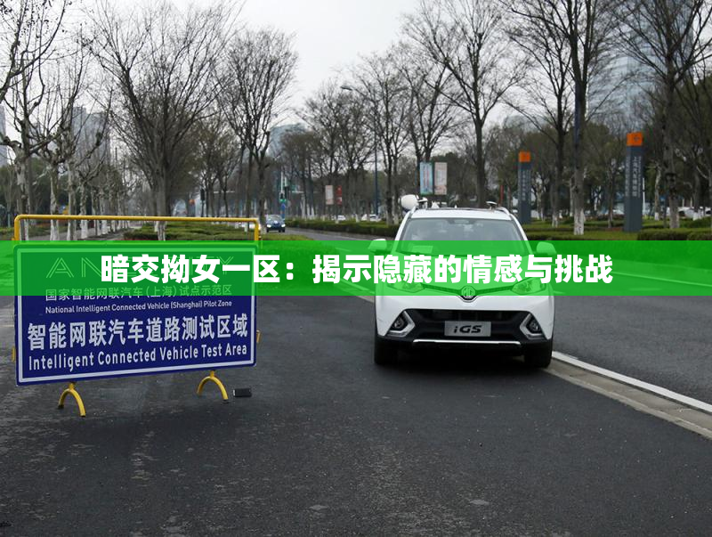 暗交拗女一区：揭示隐藏的情感与挑战