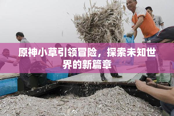 原神小草引领冒险，探索未知世界的新篇章